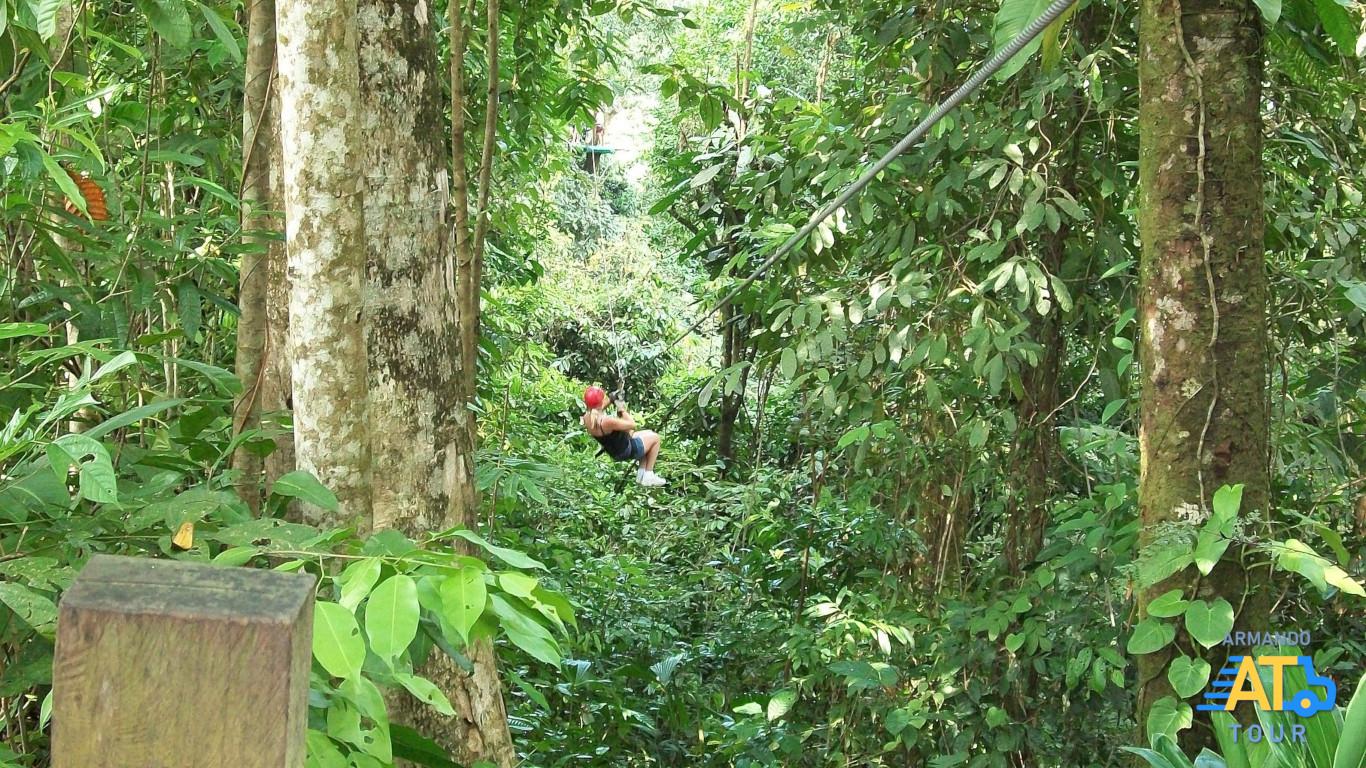 Tour Ecológico Zipline Selva
